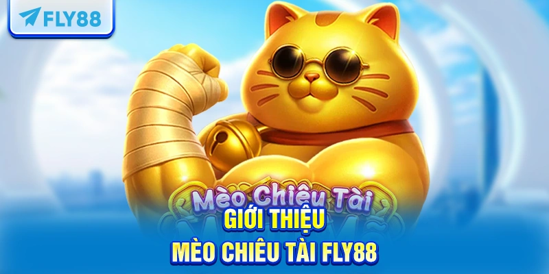 Giới thiệu mèo chiêu tài FLY88
