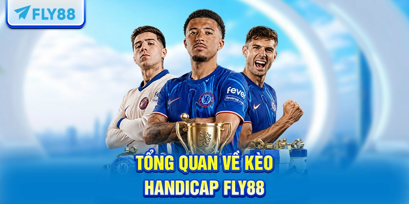 Tổng quan về kèo handicap FLY88