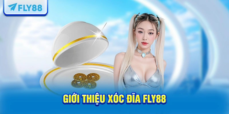 Giới thiệu xóc đĩa FLY88