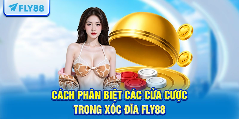 Cách phân biệt các cửa cược trong xóc đĩa FLY88