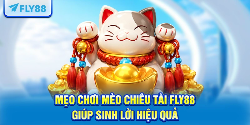 Mẹo chơi mèo chiêu tài FLY88 giúp sinh lời hiệu quả