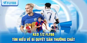 Kèo 1/2 FLY88 – Tìm Hiểu Về Bí Quyết Săn Thưởng Chất