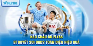 Kèo Châu Âu FLY88: Bí Quyết Soi Odds Toàn Diện Hiệu Quả 