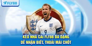 Kèo Nhà Cái FLY88 Đa Dạng, Dễ Nhận Biết, Thoải Mái Chốt